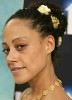 photo Cree Summer (stem)